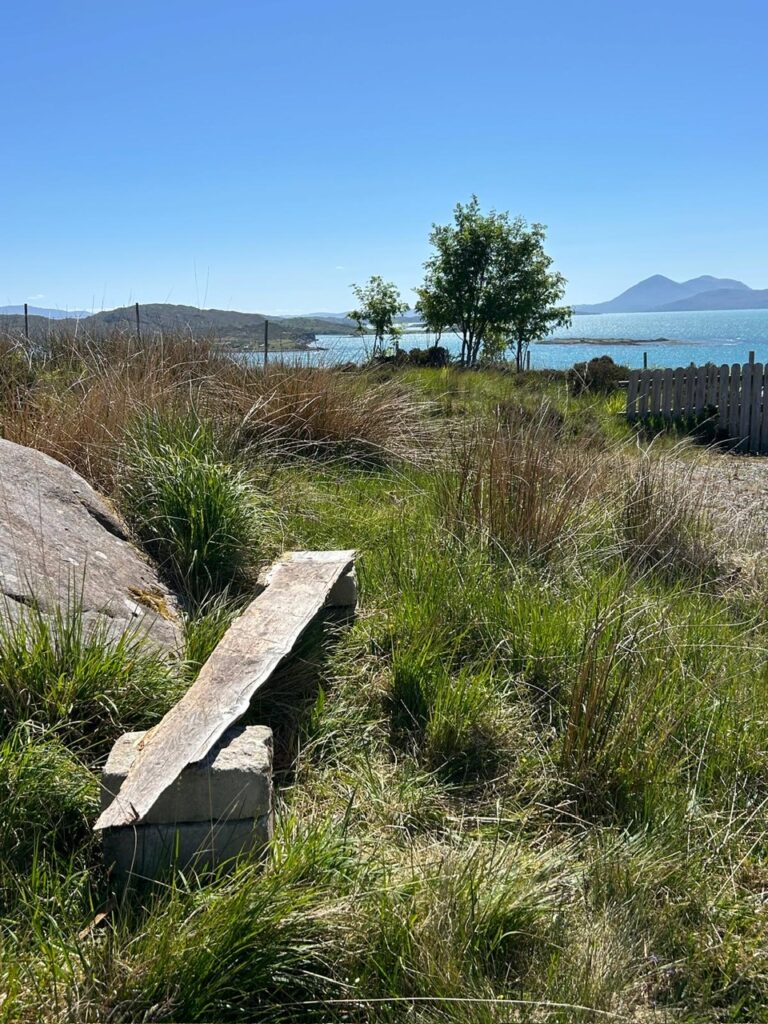 bench 1